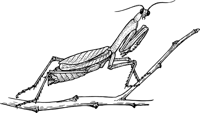 GrubOut 1L Concentrate